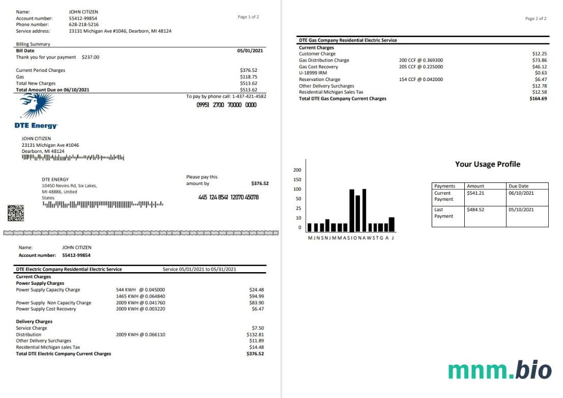 Szablon rachunku za media energetyczne USA DTE w formacie Word i PDF (2 strony)